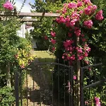 Miriada 16 *