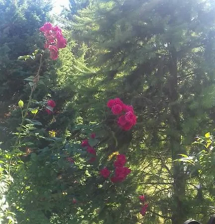 Apartmán Miriada 16 *